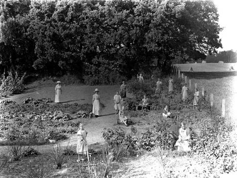 Bild på flera flickor i trädgården utanför skyddshemmet där de bland annat krattar, gräver, rensar ogräs och planterar
