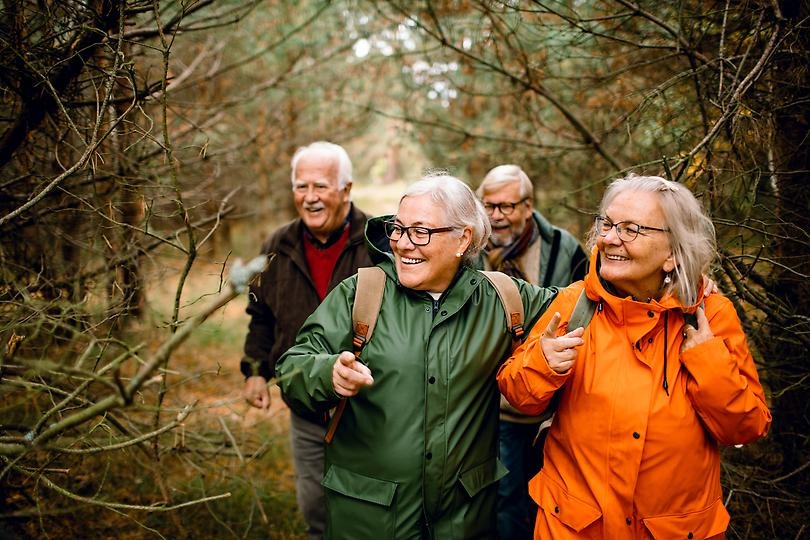 Fyra seniorer ute i en skog fritidsklädda.